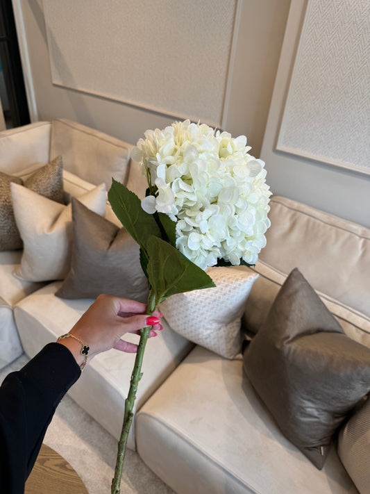 Oversized White Hydrangea