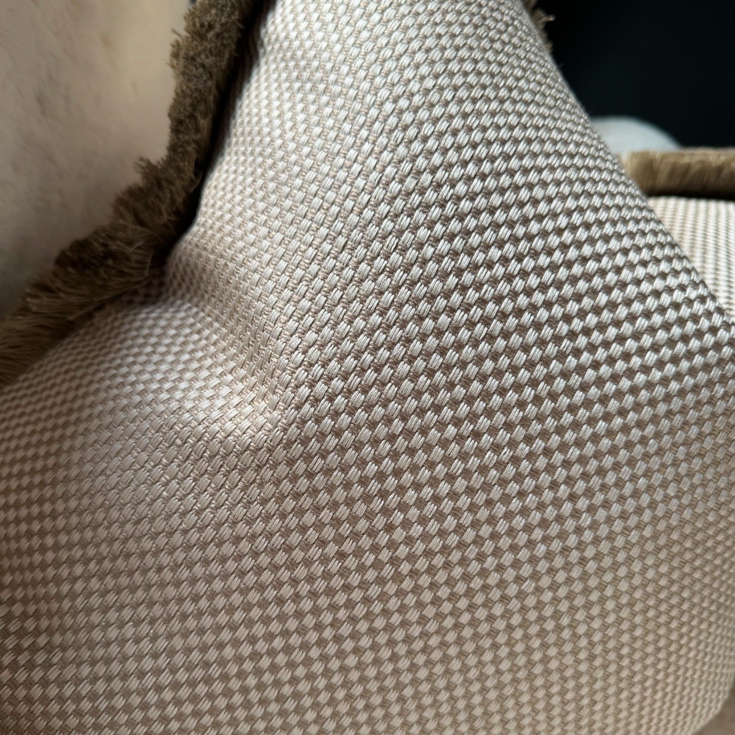 The Light Carre Fringed 18" Cushion
