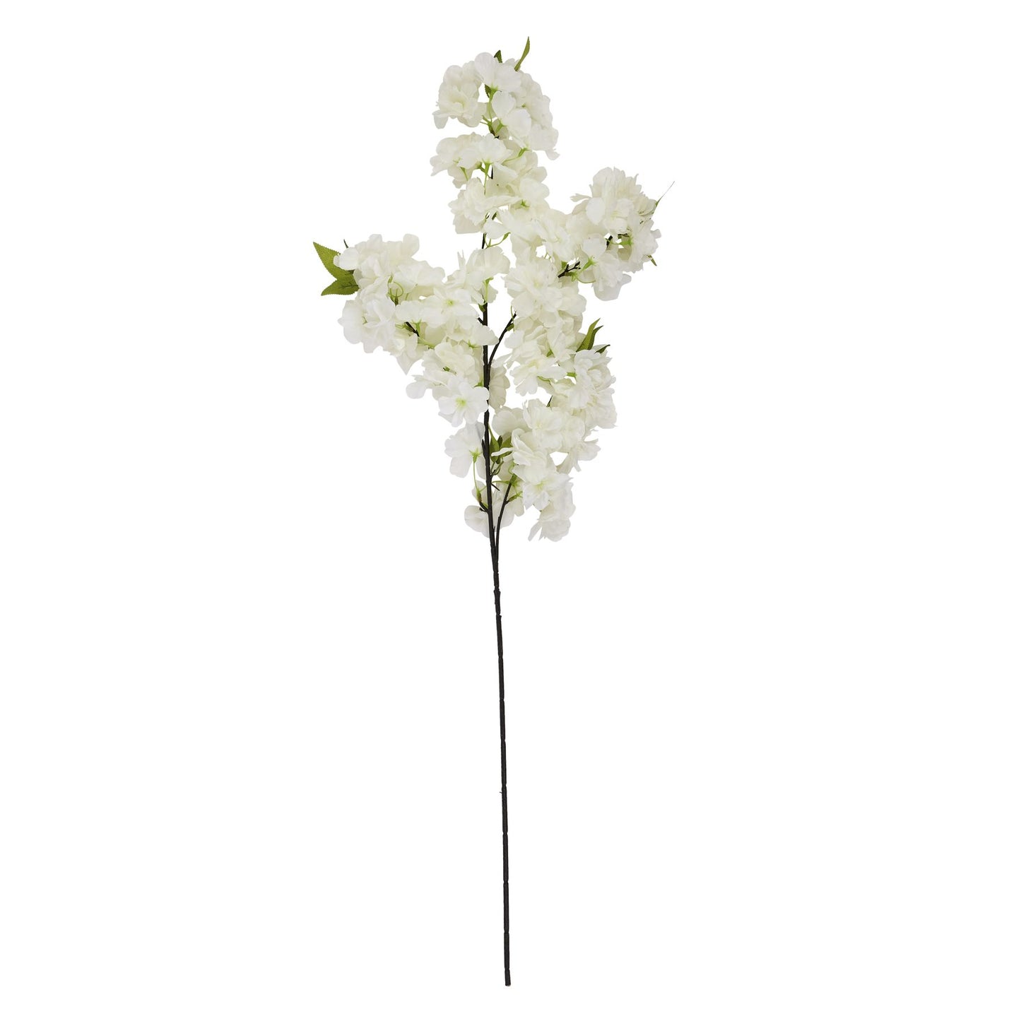 White Full Blossom Stem