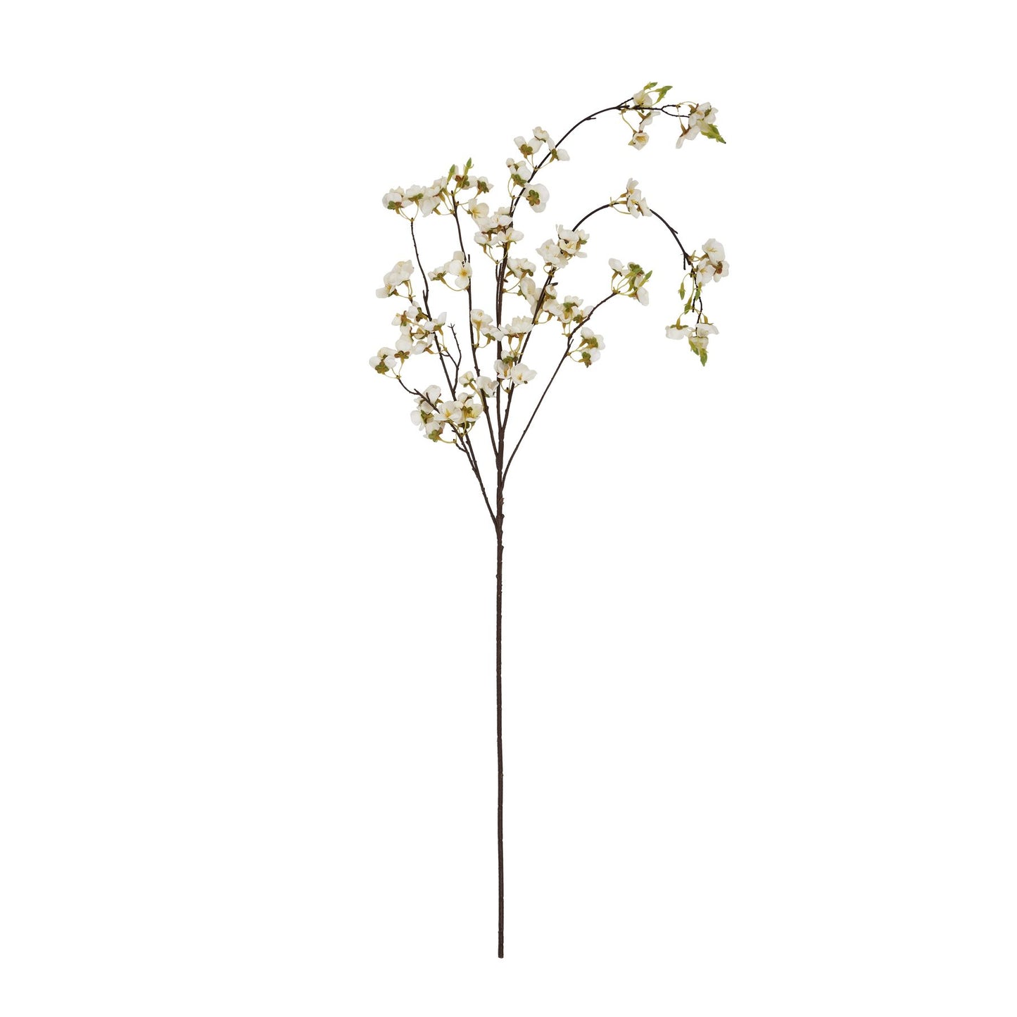 White Japanese Blossom Stem