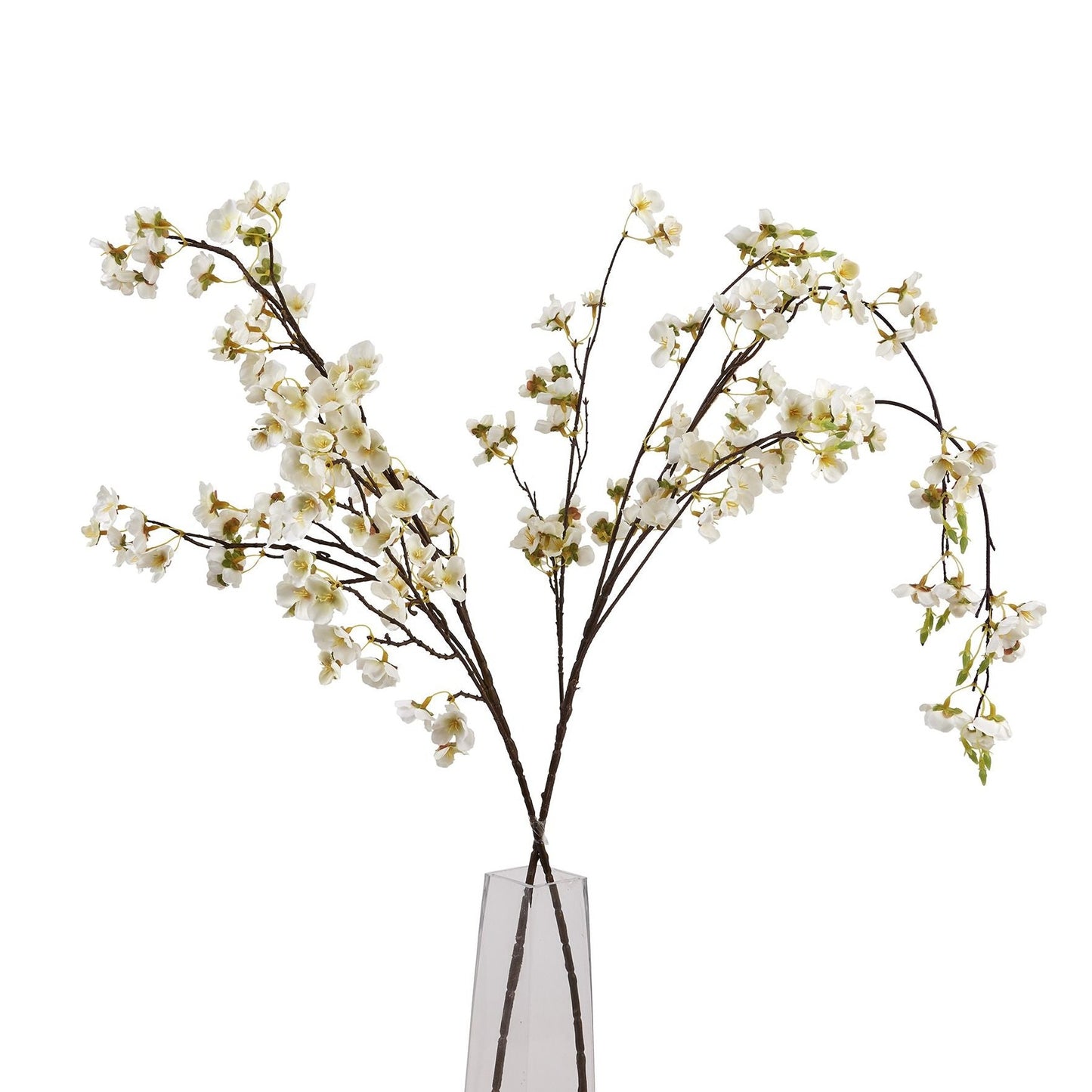 White Japanese Blossom Stem
