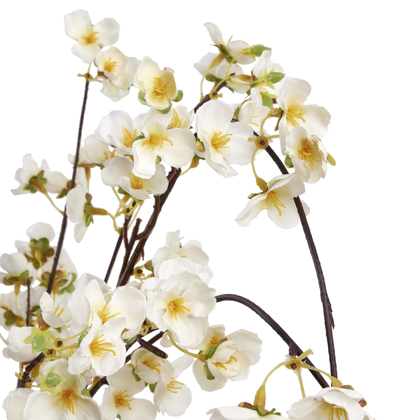 White Japanese Blossom Stem