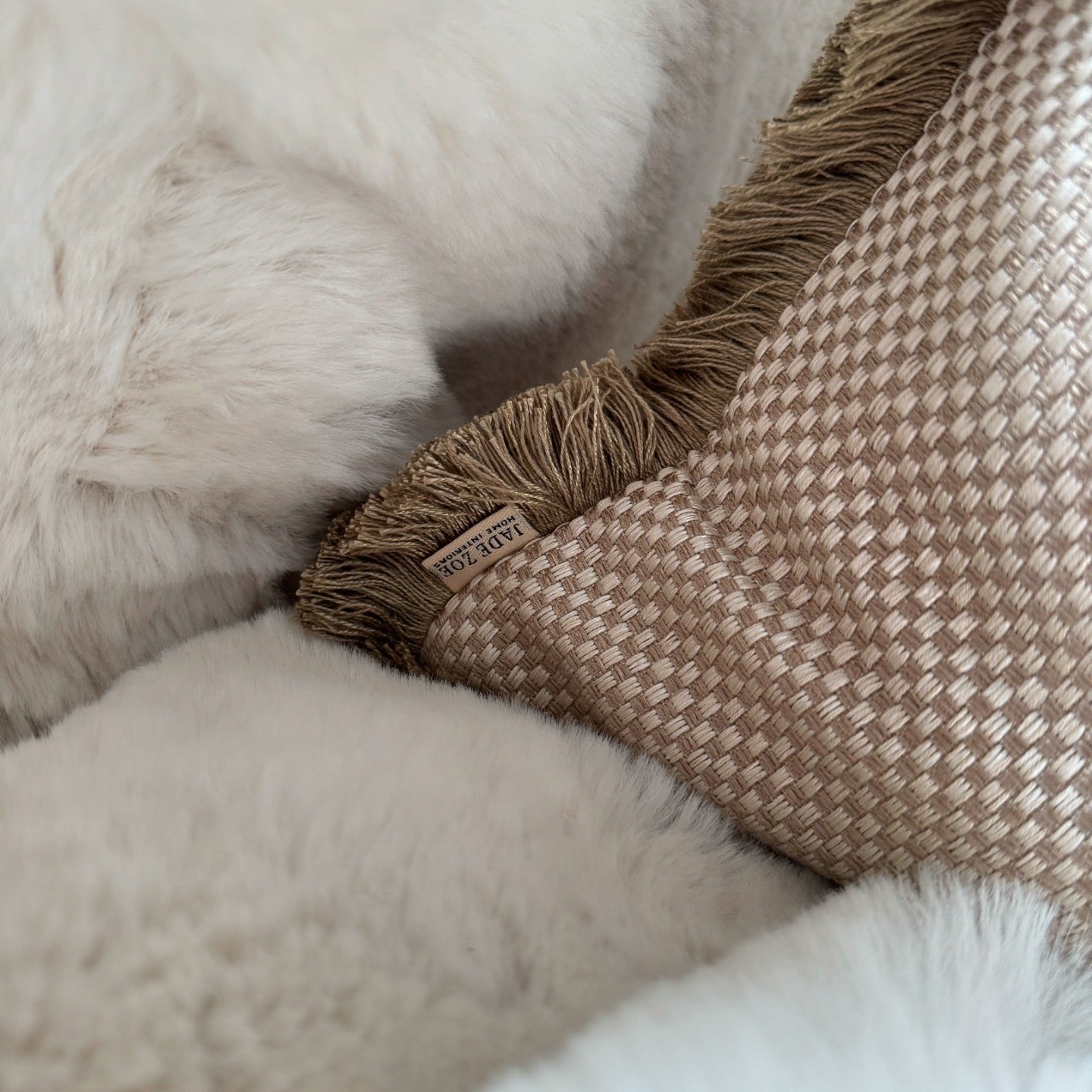 The Light Carre Fringed 18" Cushion