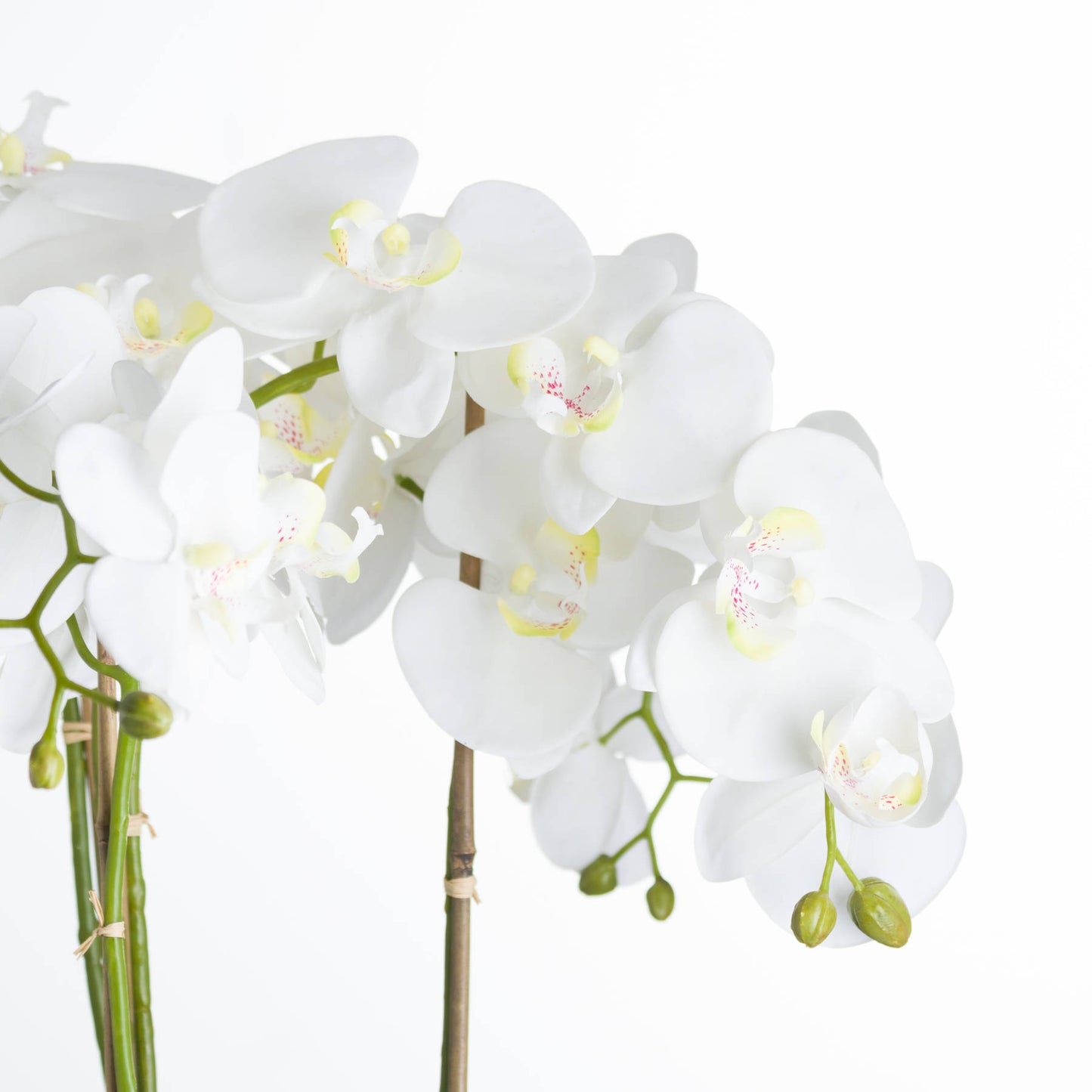 Large White Orchid Faux Plant In Pot