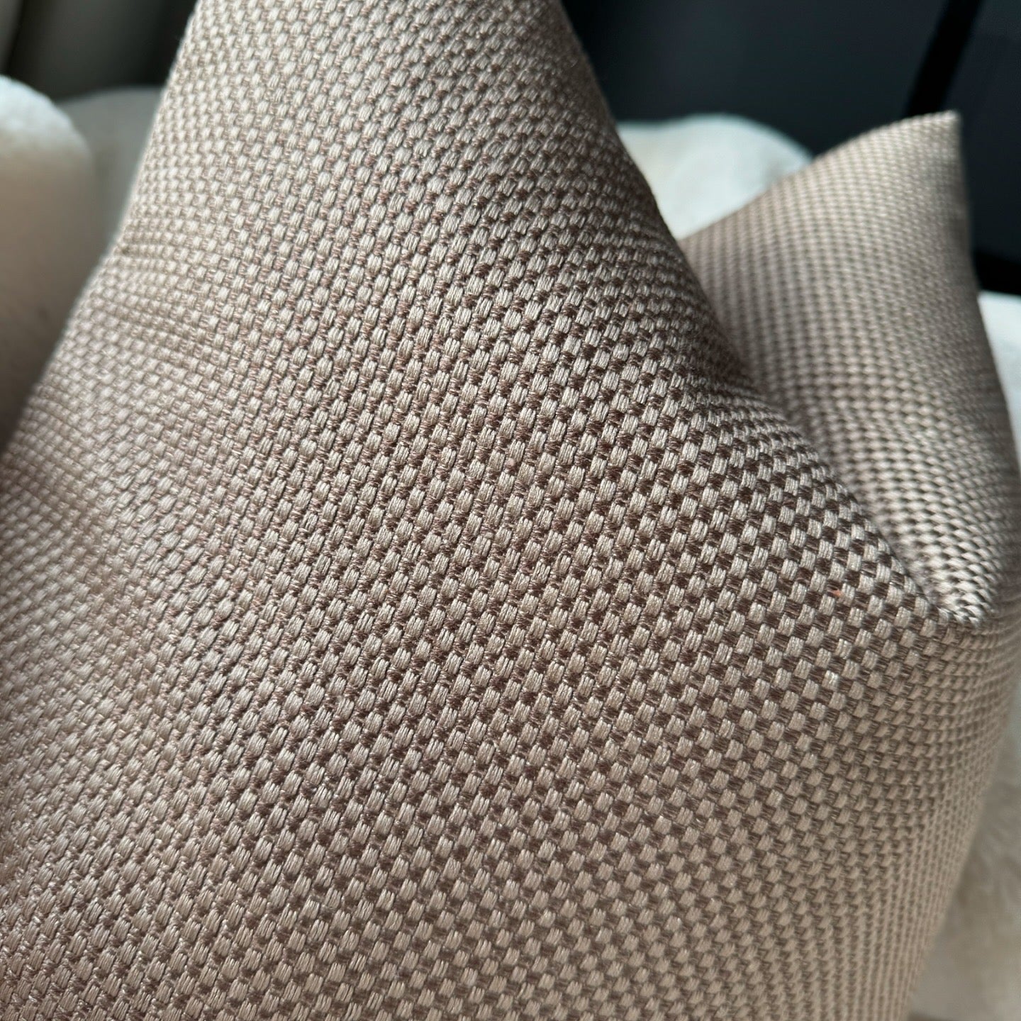 The Dark Carre 22” Cushion