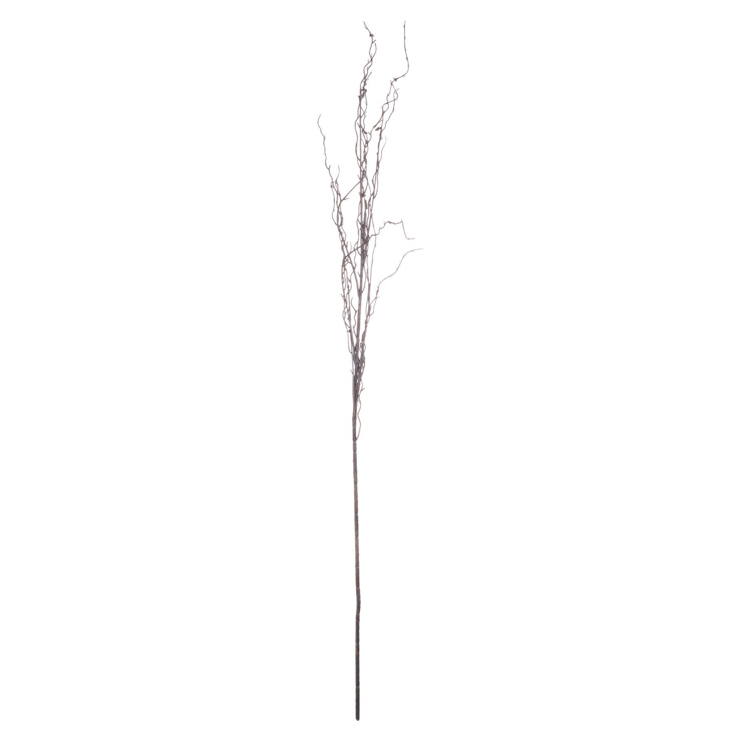Branch Spray Stem