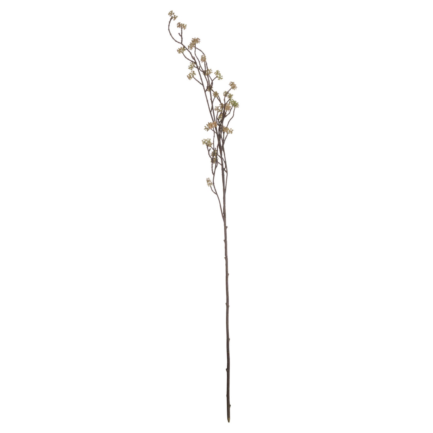 Bloom Filler Branch