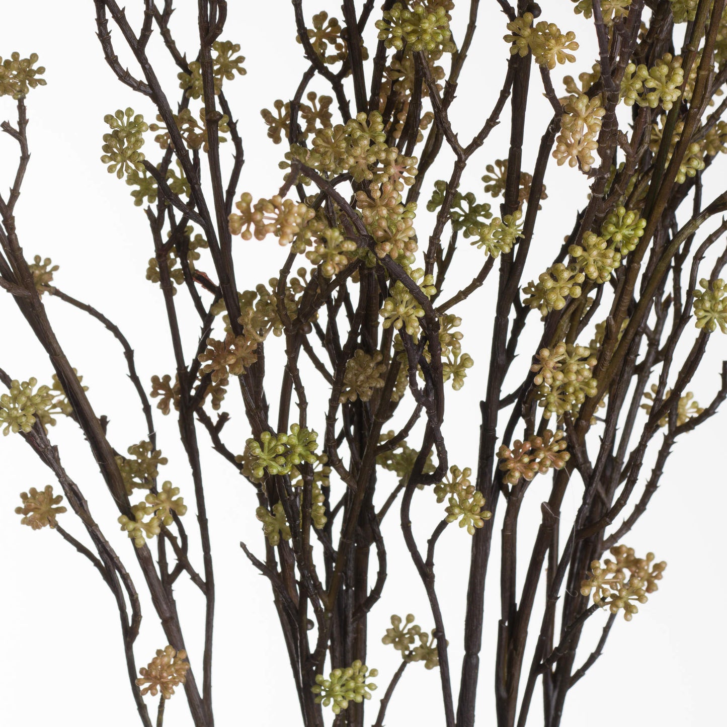 Bloom Filler Branch