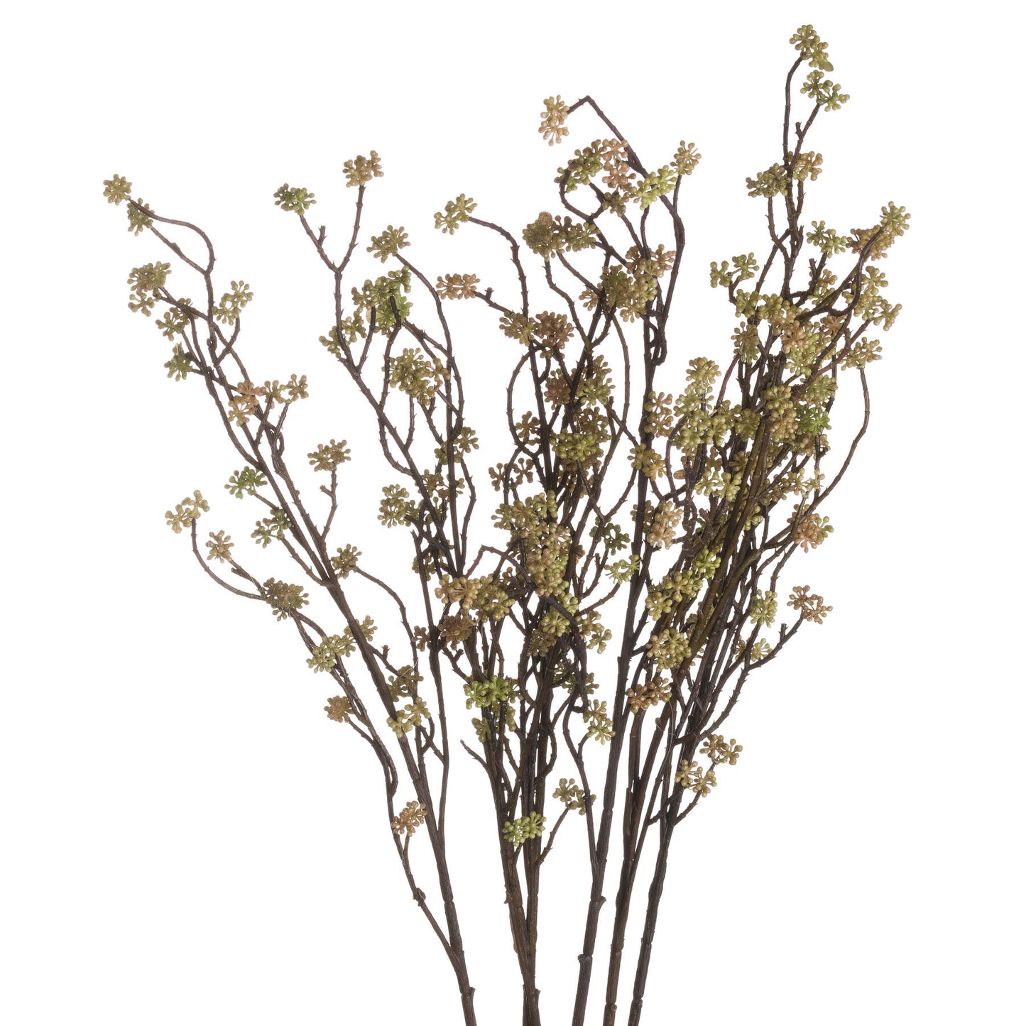 Bloom Filler Branch
