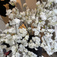 Tall White Blossom Stem