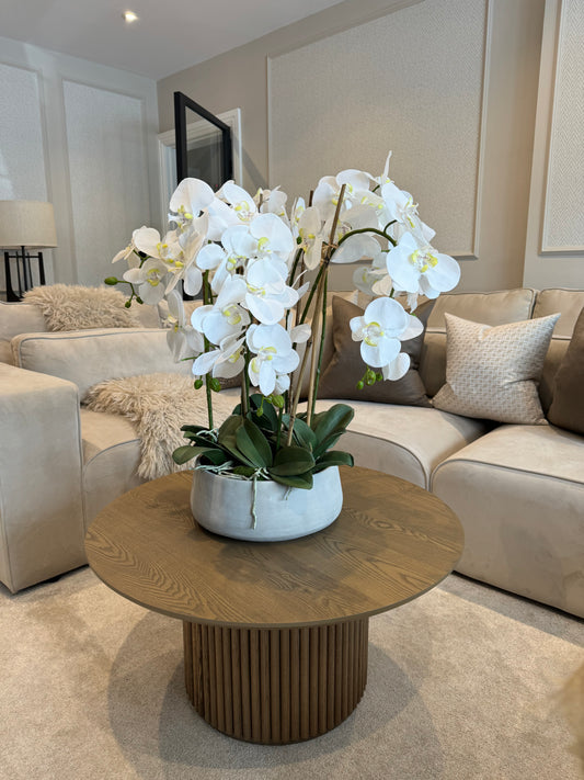 Large White Orchid Faux Plant In Pot