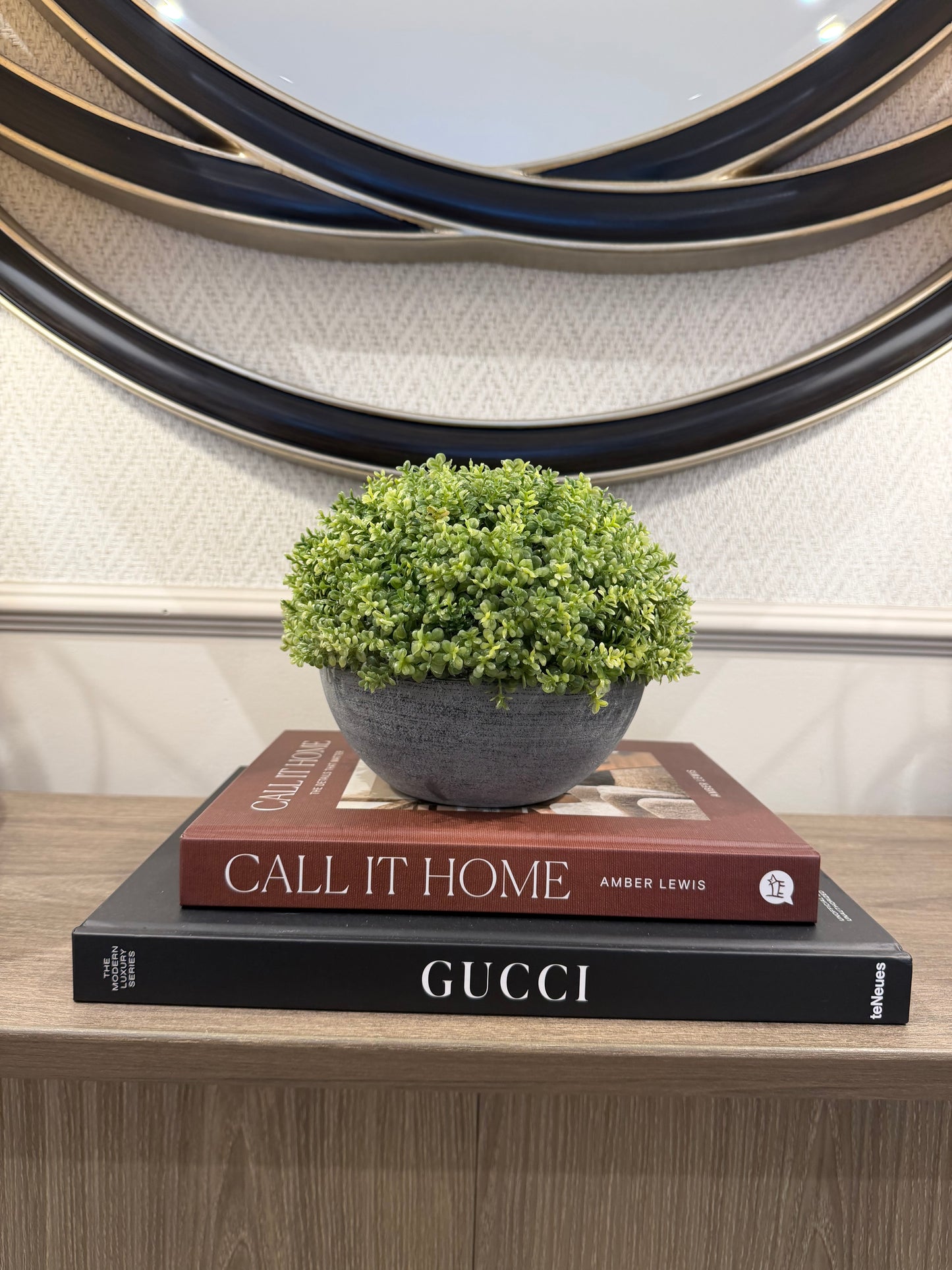 Small Hebe Globe In Pot