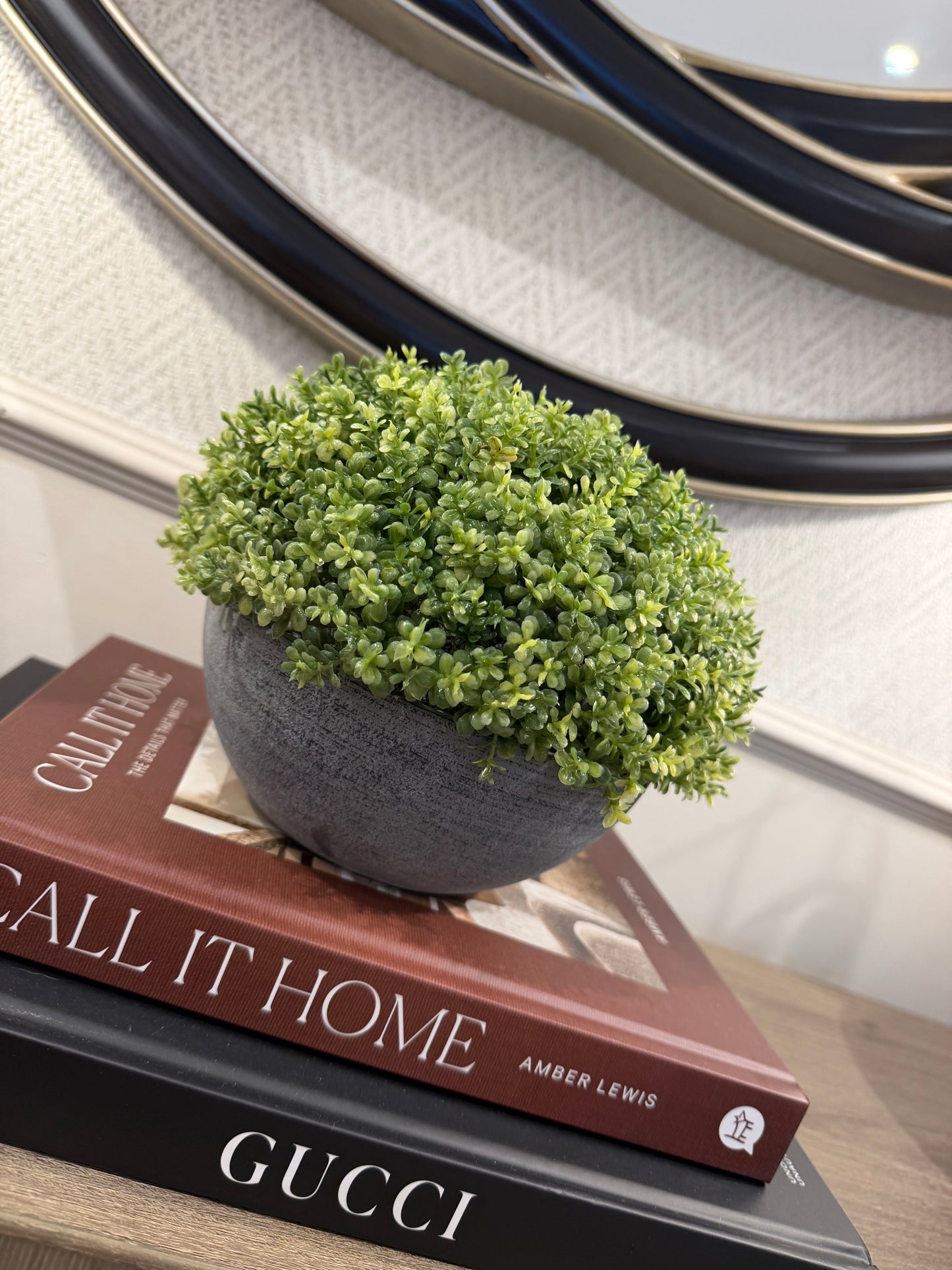 Small Hebe Globe In Pot