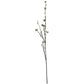 Green Berry Willow Stem