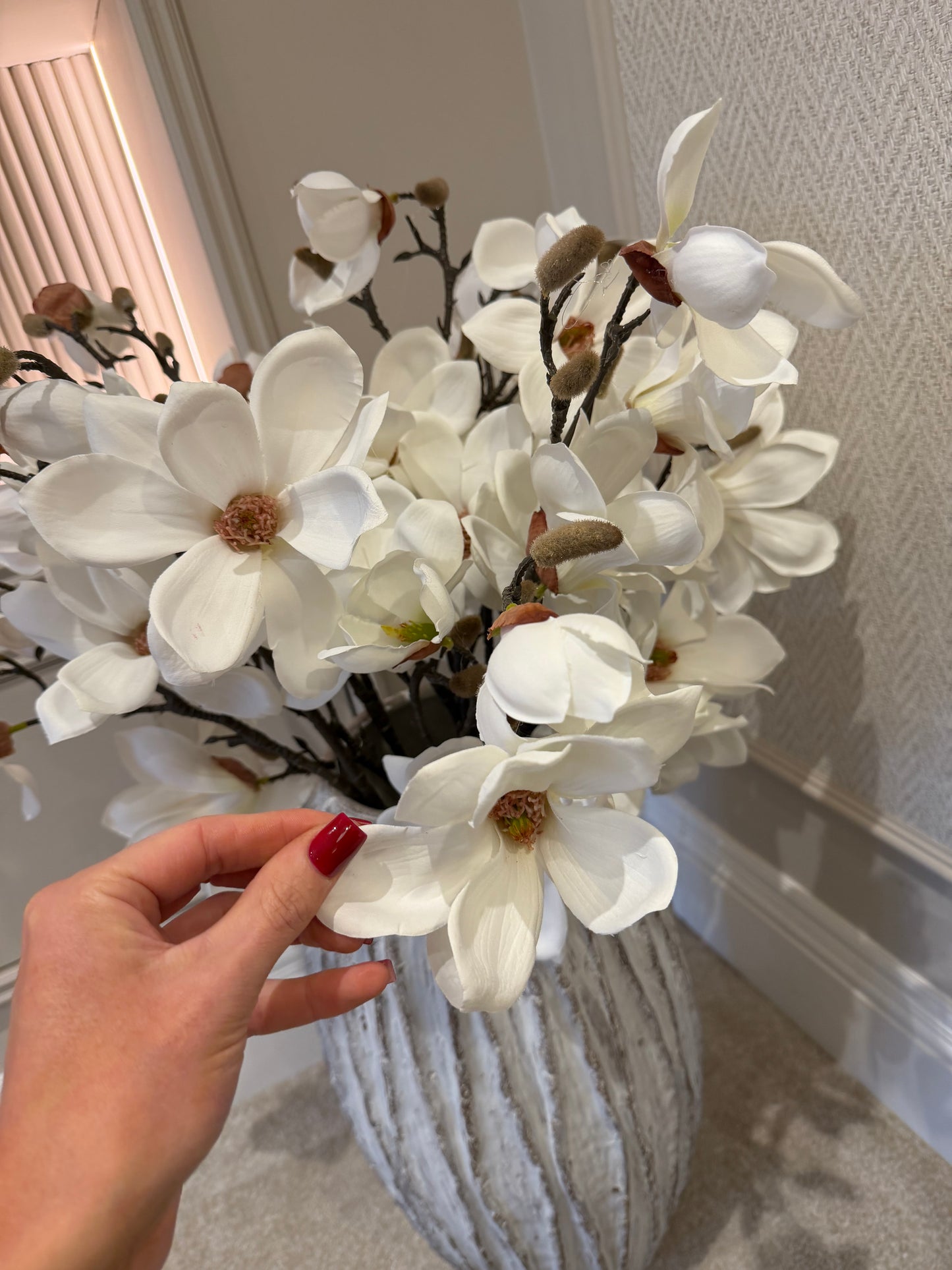 White Magnolia Stem