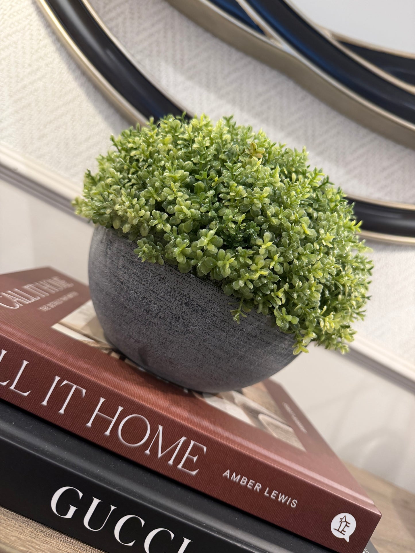 Small Hebe Globe In Pot