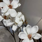 White Magnolia Stem