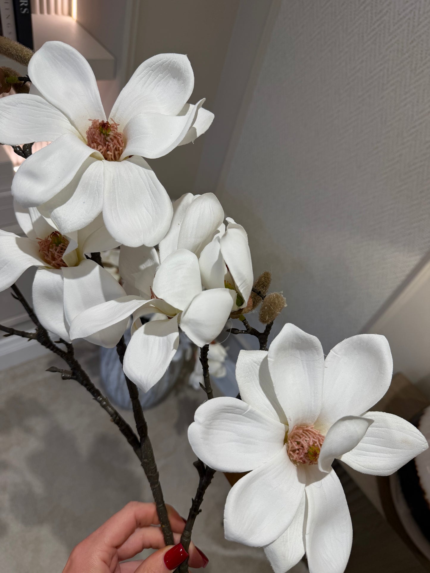 White Magnolia Stem