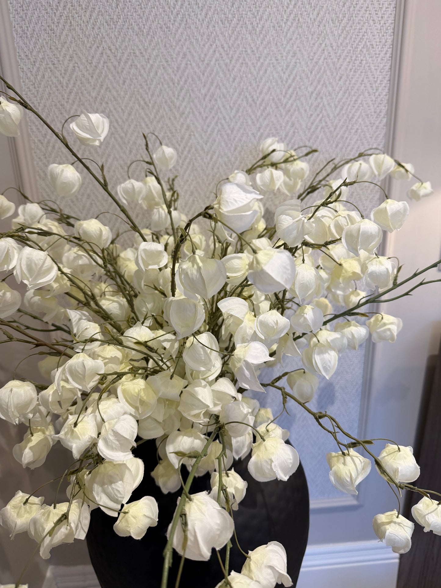 White Physalis Spray