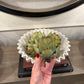 Real Touch Artificial Artichoke
