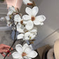 White Magnolia Stem