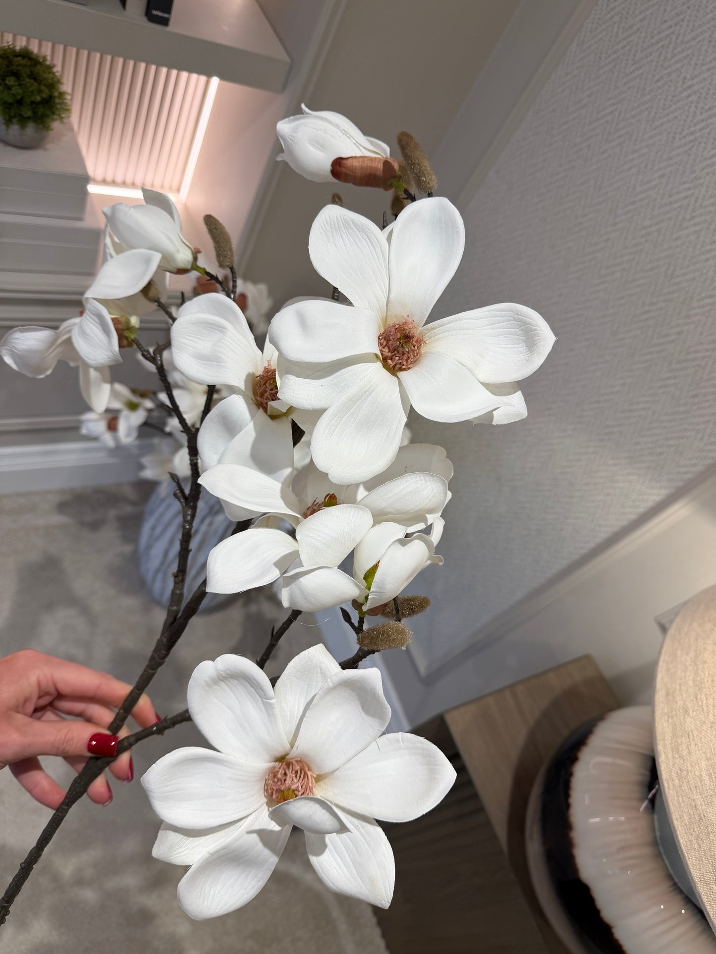 White Magnolia Stem