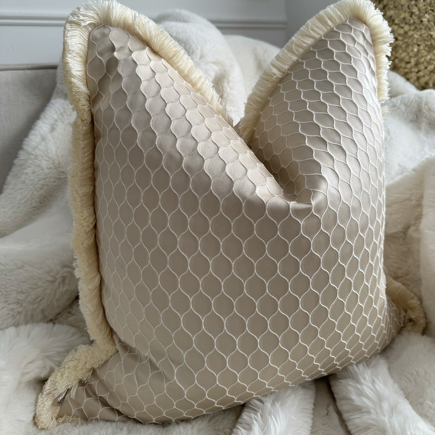 Cinder Fringed Champagne 20” Cushion