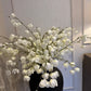 White Physalis Spray