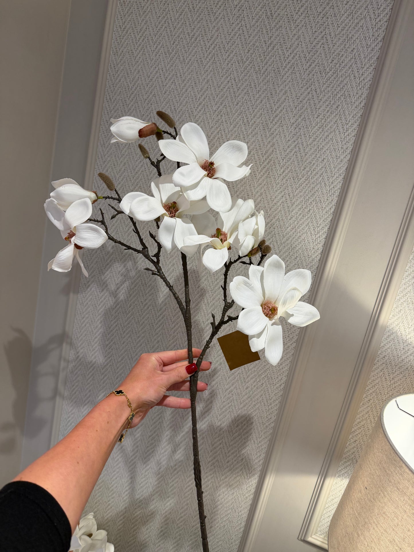 White Magnolia Stem