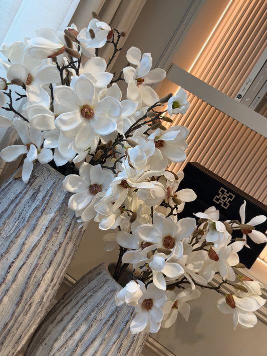 White Magnolia Stem