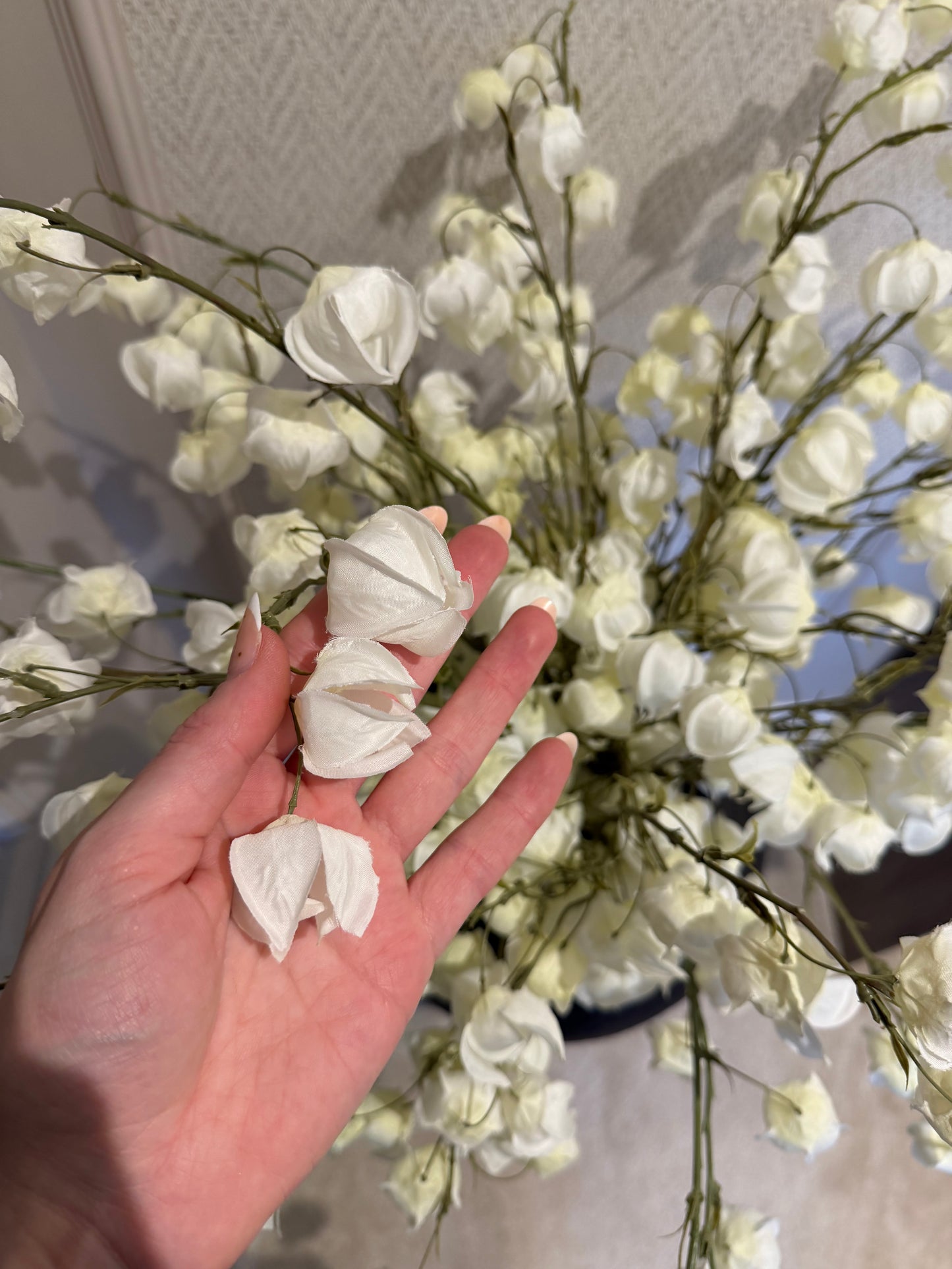 White Physalis Spray
