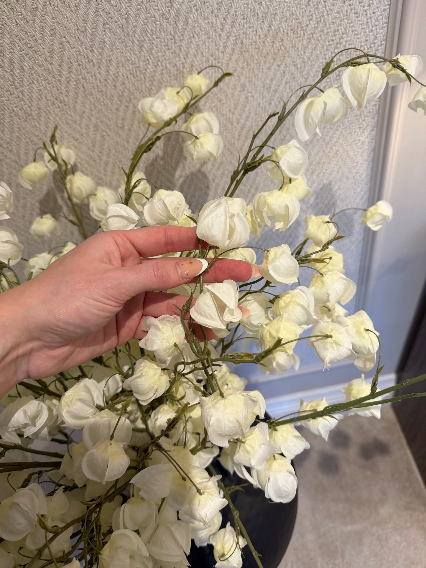 White Physalis Spray