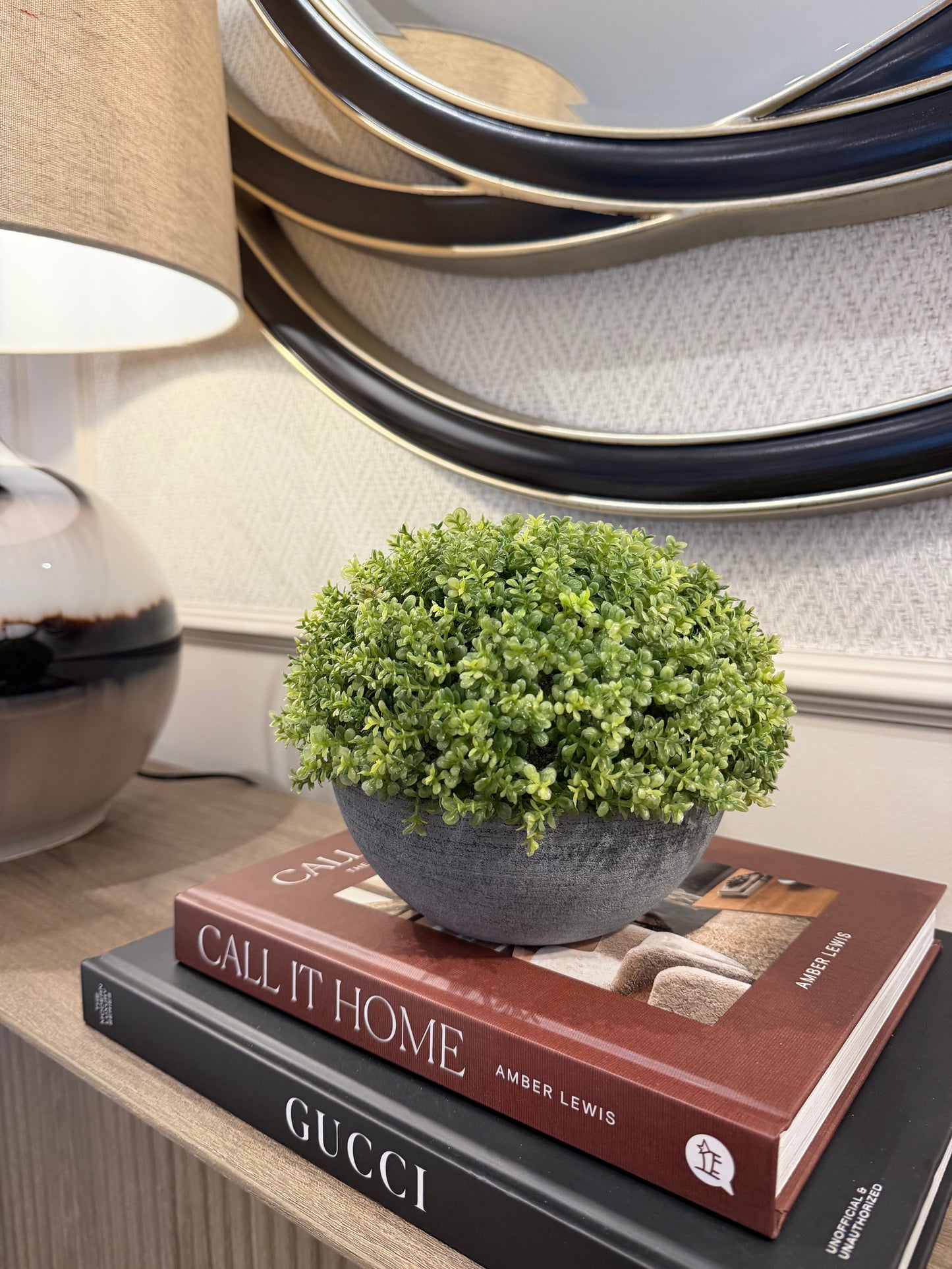 Small Hebe Globe In Pot