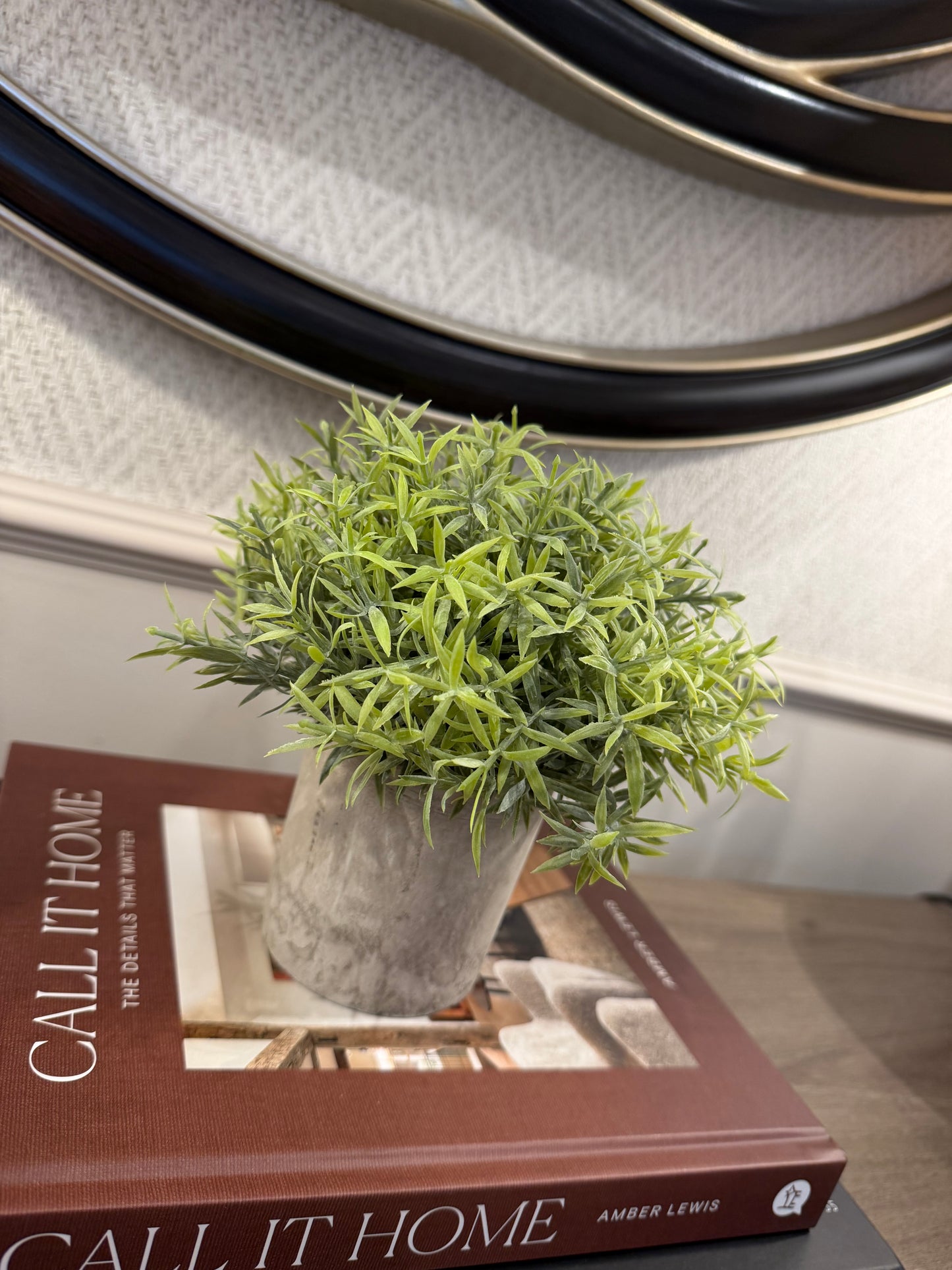 Small Bamboo Plant In Pot